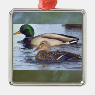 Enfeite de Patos-Reais
