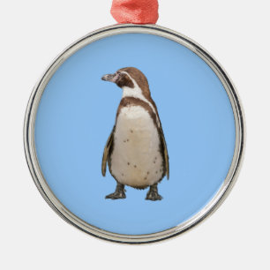Enfeite de Pinguim-de-magalhães