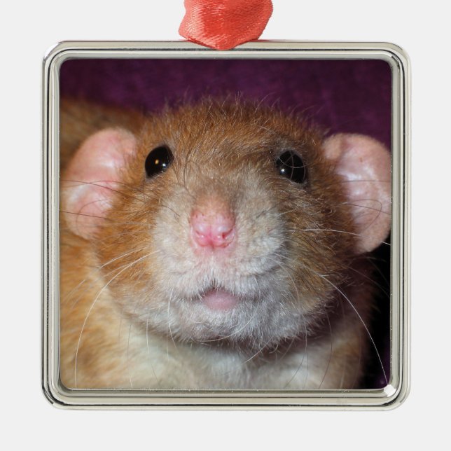Enfeite de Rato Dumbo (Frente)