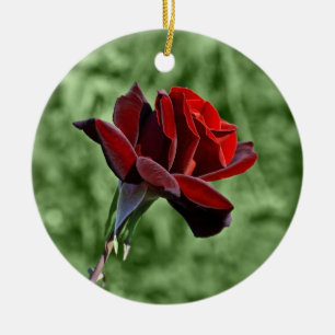 Enfeite de Rosa Vermelha