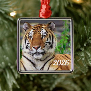 Enfeite de Tigre Siberiano