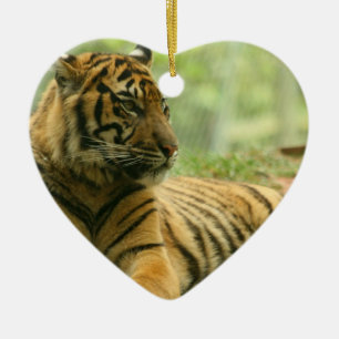 Enfeite do Tigre Adormecido