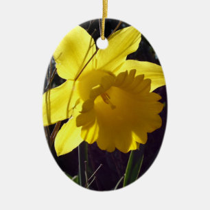 Enfeite feliz de férias de Páscoa, pombo e flor
