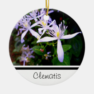 Enfeite Lembrança de Clematite Doce Outono