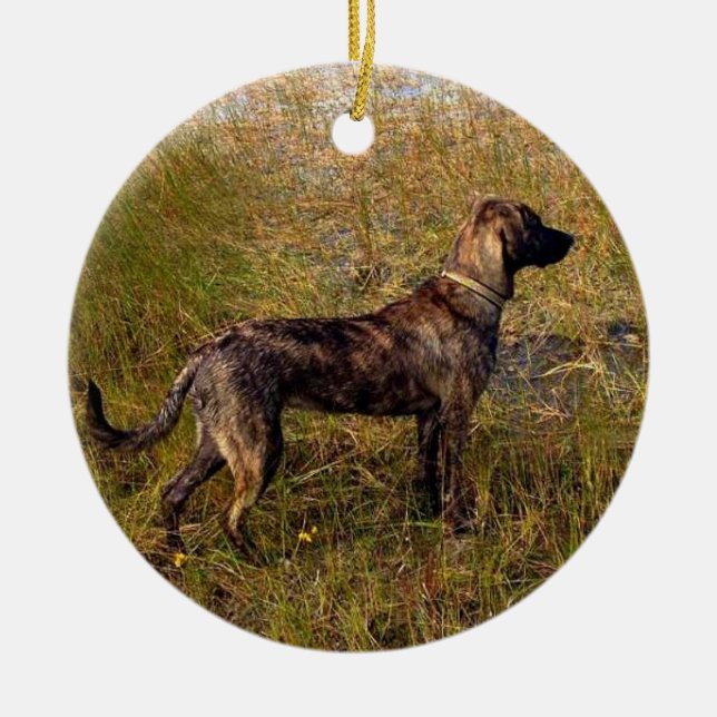 Enfeite Personalizado A Partir Do Cachorro (Frente)
