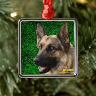Enfeite Personalizado para Pet, Foto e Nome do Cac