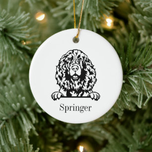 Enfeite Pet Personalizado cachorro English Springe