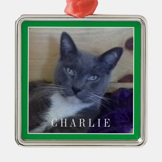 Enfeite Quadrado PET LOVE Premium / Verde (Frente)