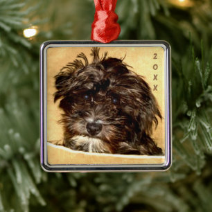 Enfeite Quadrado Premium Schnoodle