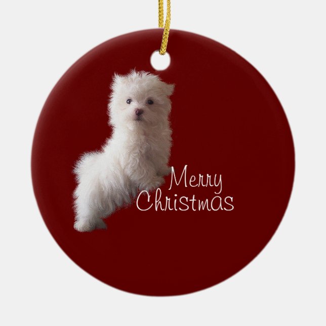 Enfeite Vermelho de Cachorrinho Maltês (Frente)