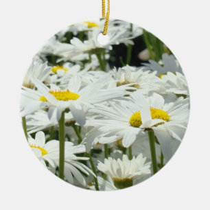 Enfeites de Flor de Margarida Natal Feriados Flora