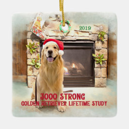 enfeites de natal 2019 - 3000 Forte