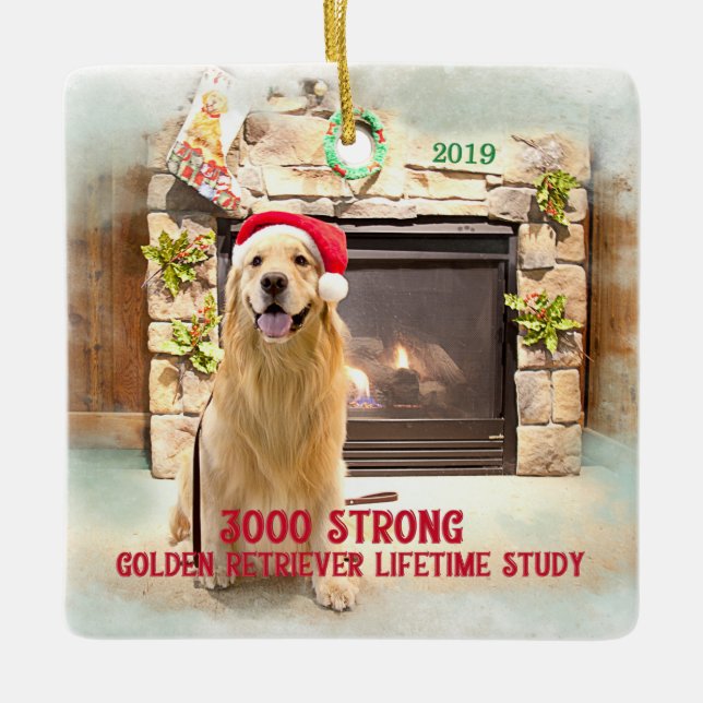 enfeites de natal 2019 - 3000 Forte (Frente)