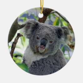 Enfeites de natal adoráveis do koala do bebê