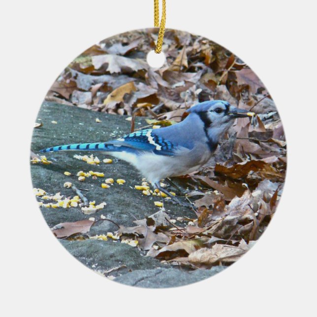 Enfeites de natal Blue Jay (Frente)