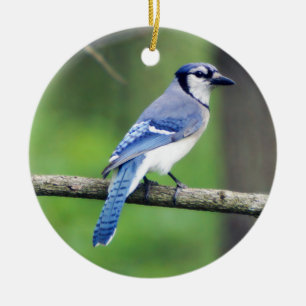 Enfeites de natal Blue Jay