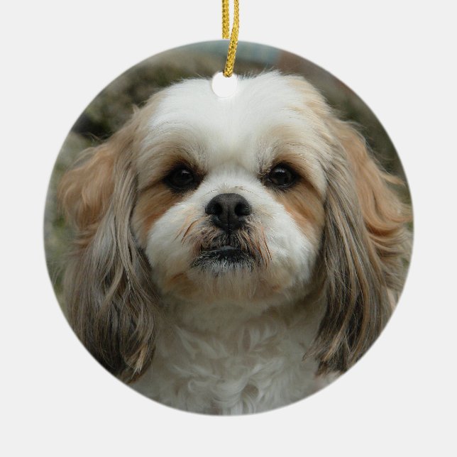 Enfeites de natal bonitos de Shih Tzu (Frente)