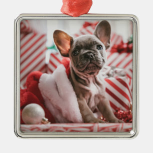 Enfeites de natal bonitos do buldogue francês
