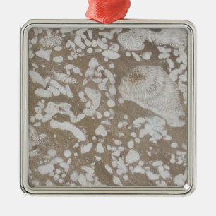 Enfeites de natal Castanho e Branco Fóssil Devonia