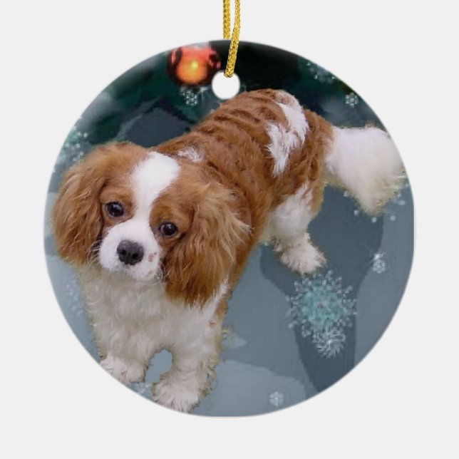 Enfeites de natal Cavalier King Charles Spaniel (Frente)