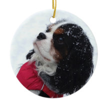 Enfeites de natal Cavalier King Charles Spaniel