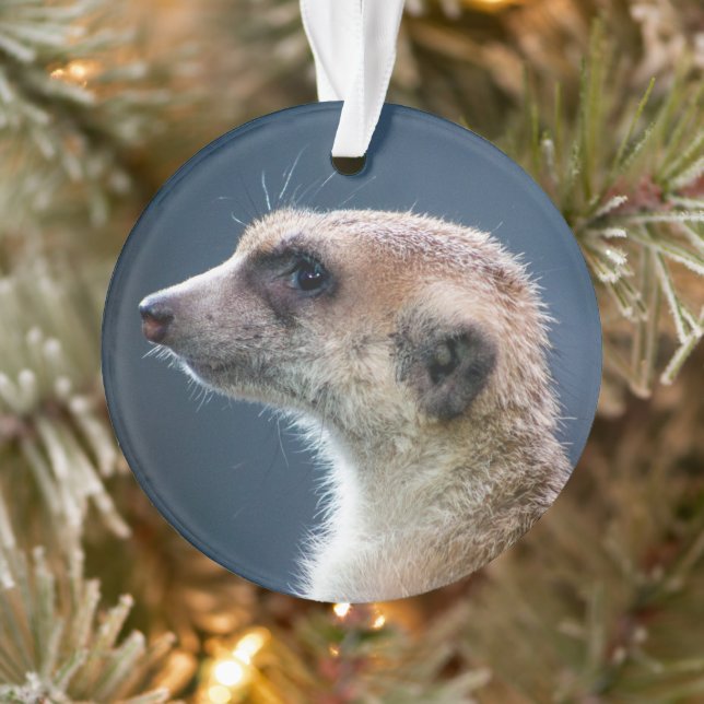 Enfeites de natal Circular Meerkat (Árvore)