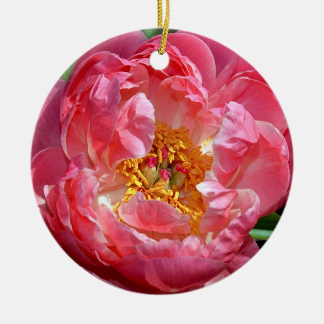 Enfeites de natal cor-de-rosa da flor da peônia (Frente)