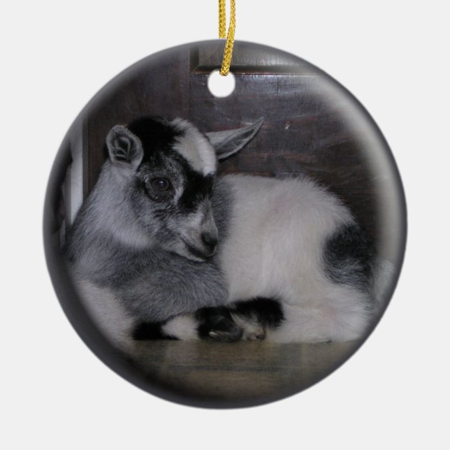 ENFEITES DE NATAL DA CABRA GREY/WHITE DO BEBÊ (Frente)
