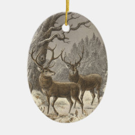 Enfeites de natal da equimose do der de Buch