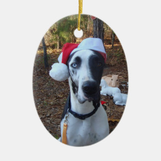 Enfeites de natal da escavadora