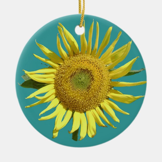 Enfeites de natal da esperança - redondos (Frente)