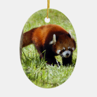 Enfeites de natal da panda vermelha