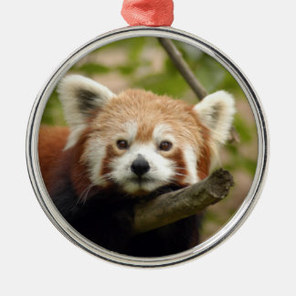 Enfeites de natal da panda vermelha