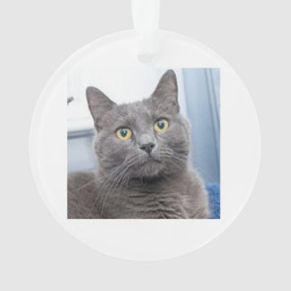 Enfeites de natal da tábua de salvação