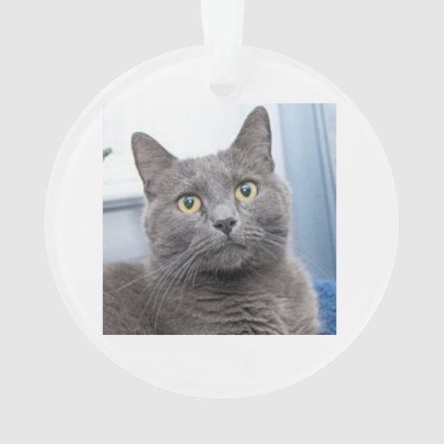 Enfeites de natal da tábua de salvação (Verso)