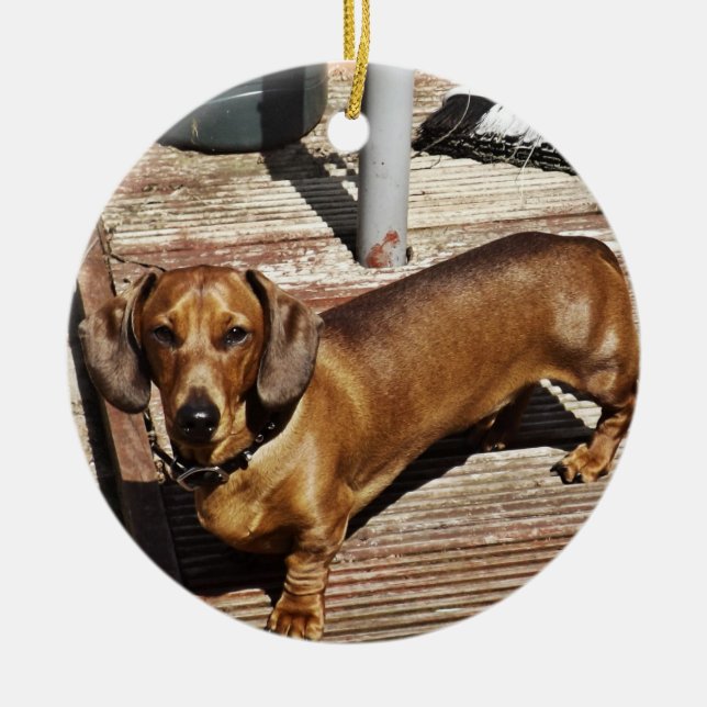 Enfeites de natal Dachshund Adicionar Sua Foto (Frente)