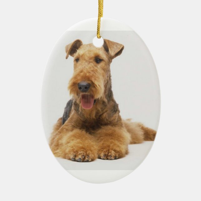 Enfeites de natal de Airedale Terrier (Frente)