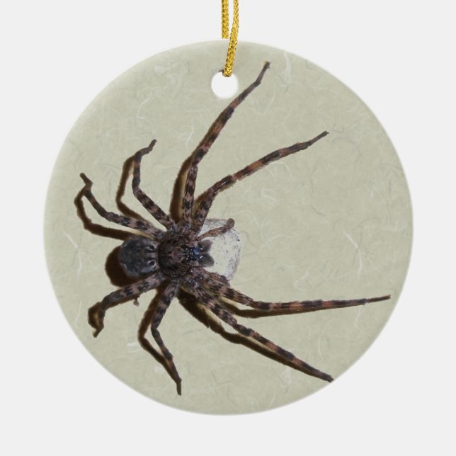 Enfeites de natal de aranha Mamãe Dolomedes (Frente)