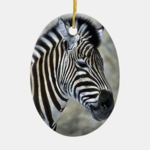 Enfeites de natal de Arte de Zebra Amantes