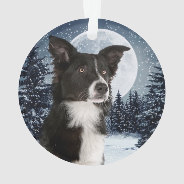 Enfeites de natal de border collie (Verso)