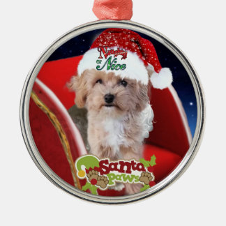 Enfeites de natal de cachorrinho Maltipoo