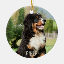 Enfeites de natal de Cachorro da Montanha Bernese