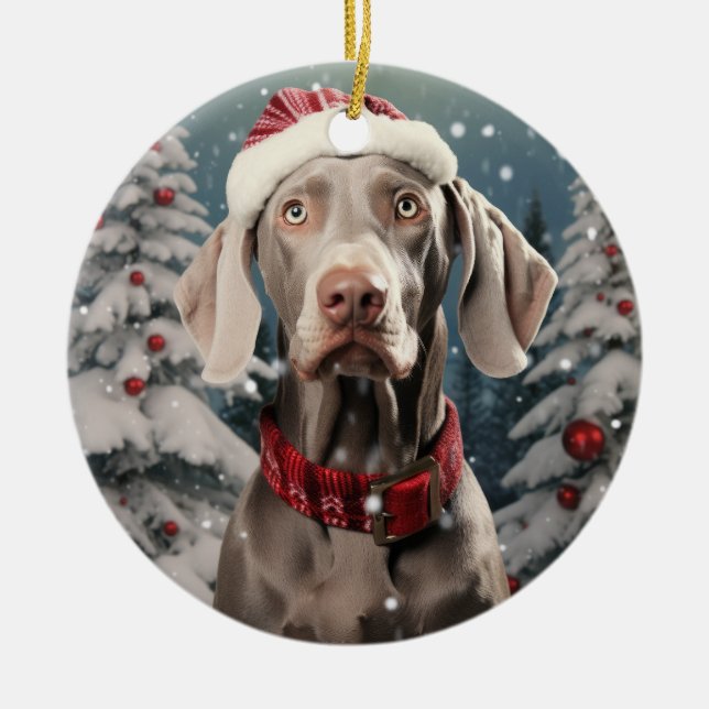 Enfeites de natal de Cachorro do Weimaraner (Frente)