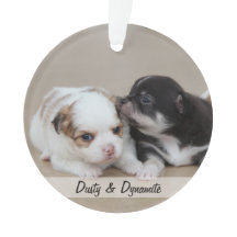 Enfeites de natal De Cães Acrílicos Adicionar Foto