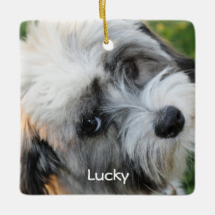 Enfeites de natal De Cães Foto Cerâmica Quadrada