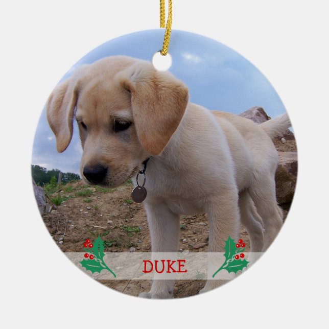 Enfeites de natal de cães Foto personalizada (Frente)