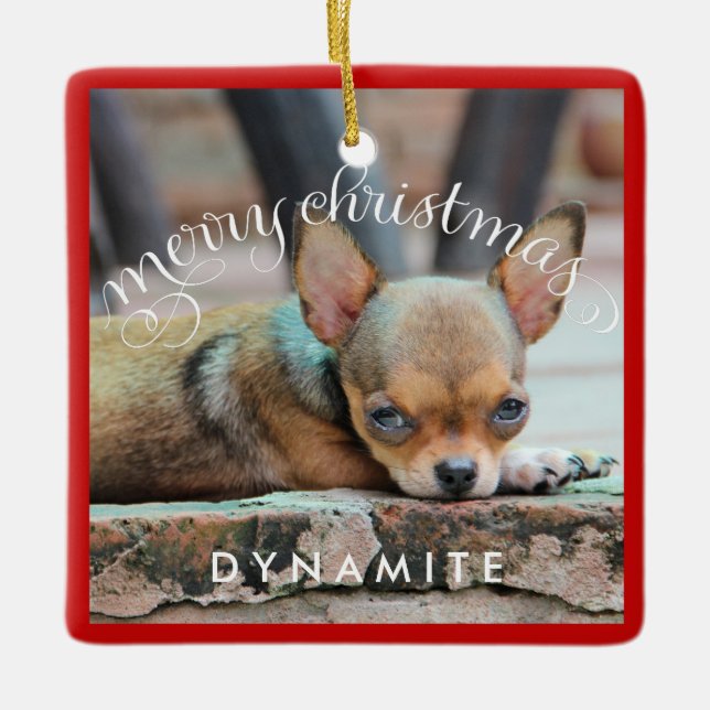 Enfeites de natal de cães Foto personalizada quadr (Frente)