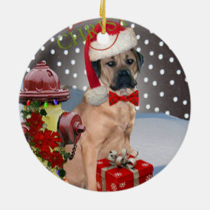 Enfeites de natal de Corso do bastão