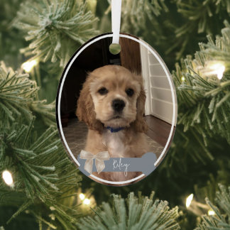 Enfeites de natal de Fotografia Pet Personalizada