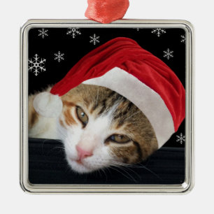Enfeites de natal de gatos